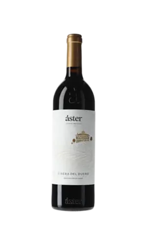 Áster Ribera del Duero