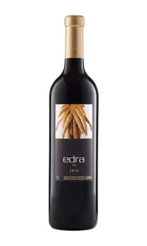 Edra Sol 2016