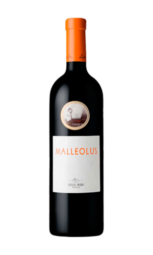 Malleolus