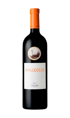 Malleolus