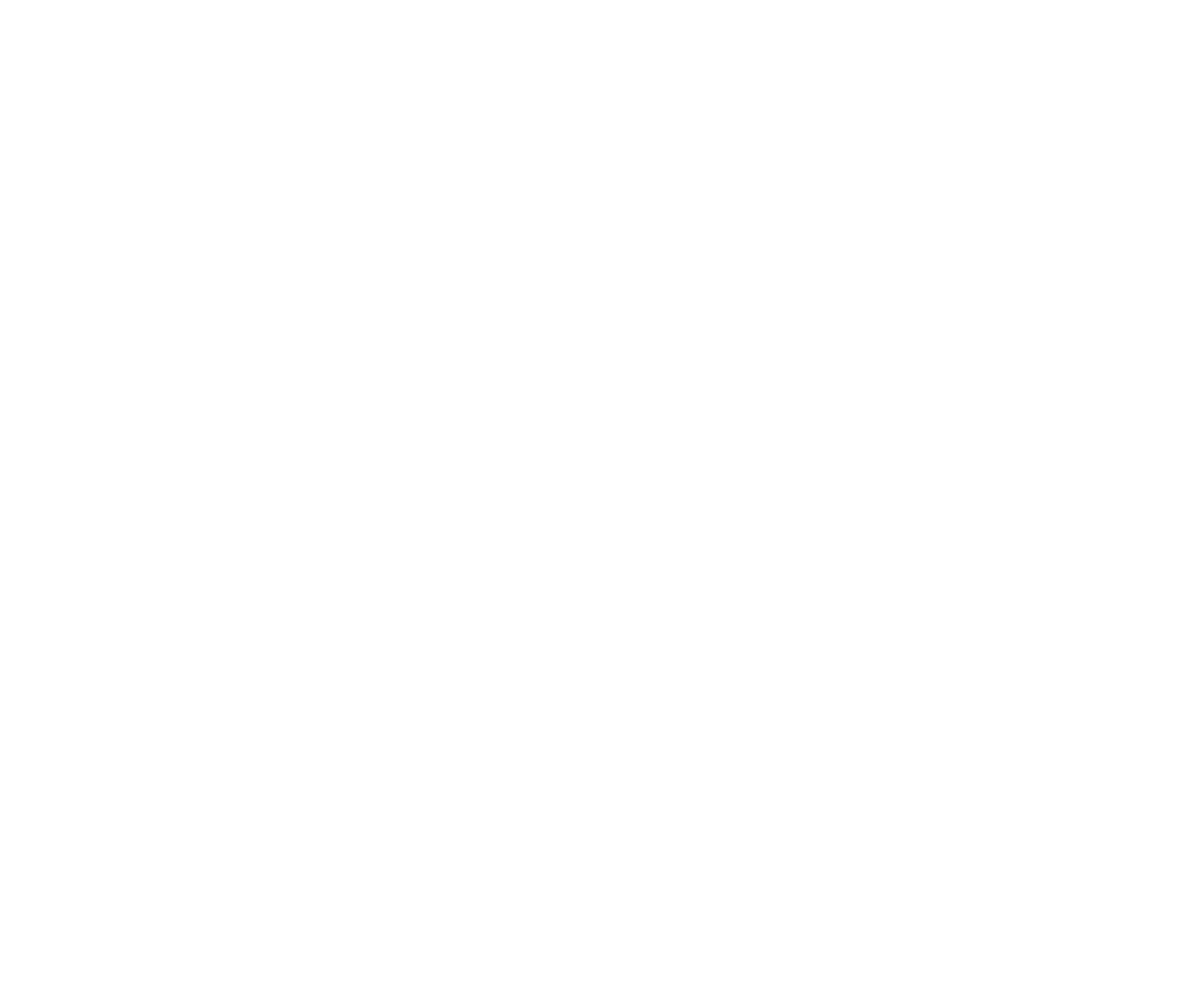 FORTIFICADOS