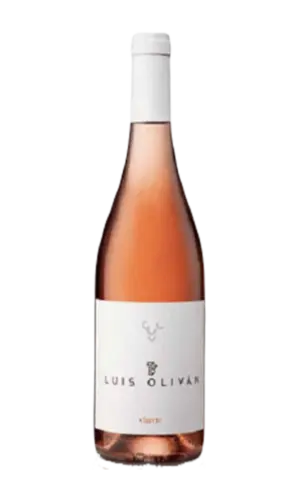 Luis Oliván Clarete