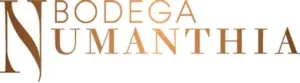 Bodega Numanthia