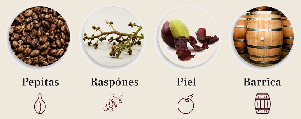 tipos de taninos del vino